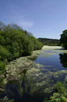 River Lee