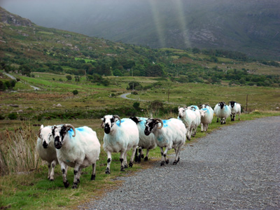 Pastoral scene